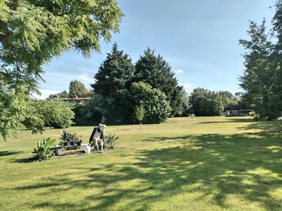 Domaine Des Cerisiers Berville-sur-Mer Exterior foto